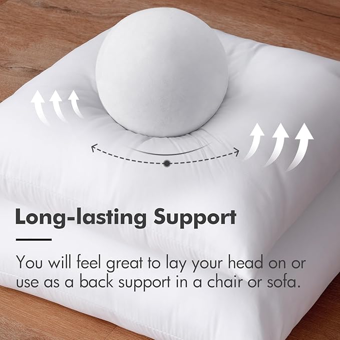 MIULEE Throw Pillow Insert Premium Pillow Stuffer Sham Rectangle Form for Decorative Cushion Bed Couch Sofa 12x16 Inch