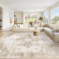 Area Rug 8x10 Washable Rug, Vintage Boho Medallion Rugs Non-Slip Soft Low Pile Large Distressed Rug Indoor Retro Carpet for Living Room Bedroom Dining Room Home Office (Brown, 8'x10')