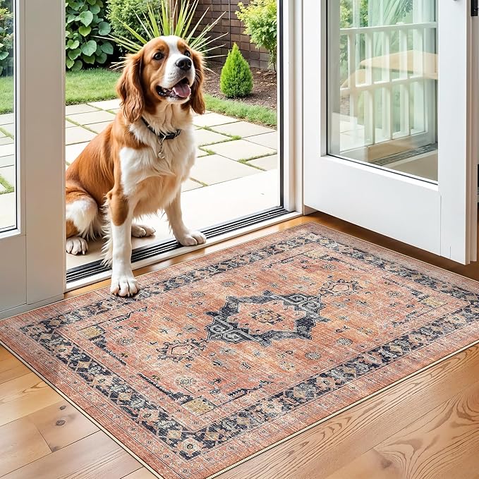 Washable 2x3 Small Area Rug: Vintage Indoor Soft Non Slip Door Mat Stain Resistant Carpet for Bedroom Living Room Light Weight Floor Mat for Kitchen Bathroom - Perfect for Homes with Pets (2x3,Orange)