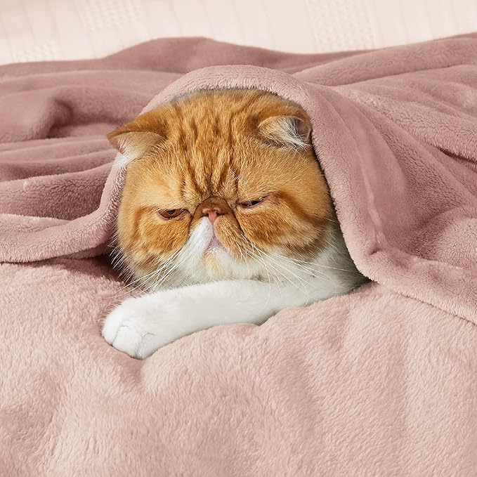 Bedsure GentleSoft Fleece Blankets King Size Dusty Pink - Bed Blanket Soft Lightweight Plush Cozy Fuzzy Luxury Microfiber, 108x90 inches